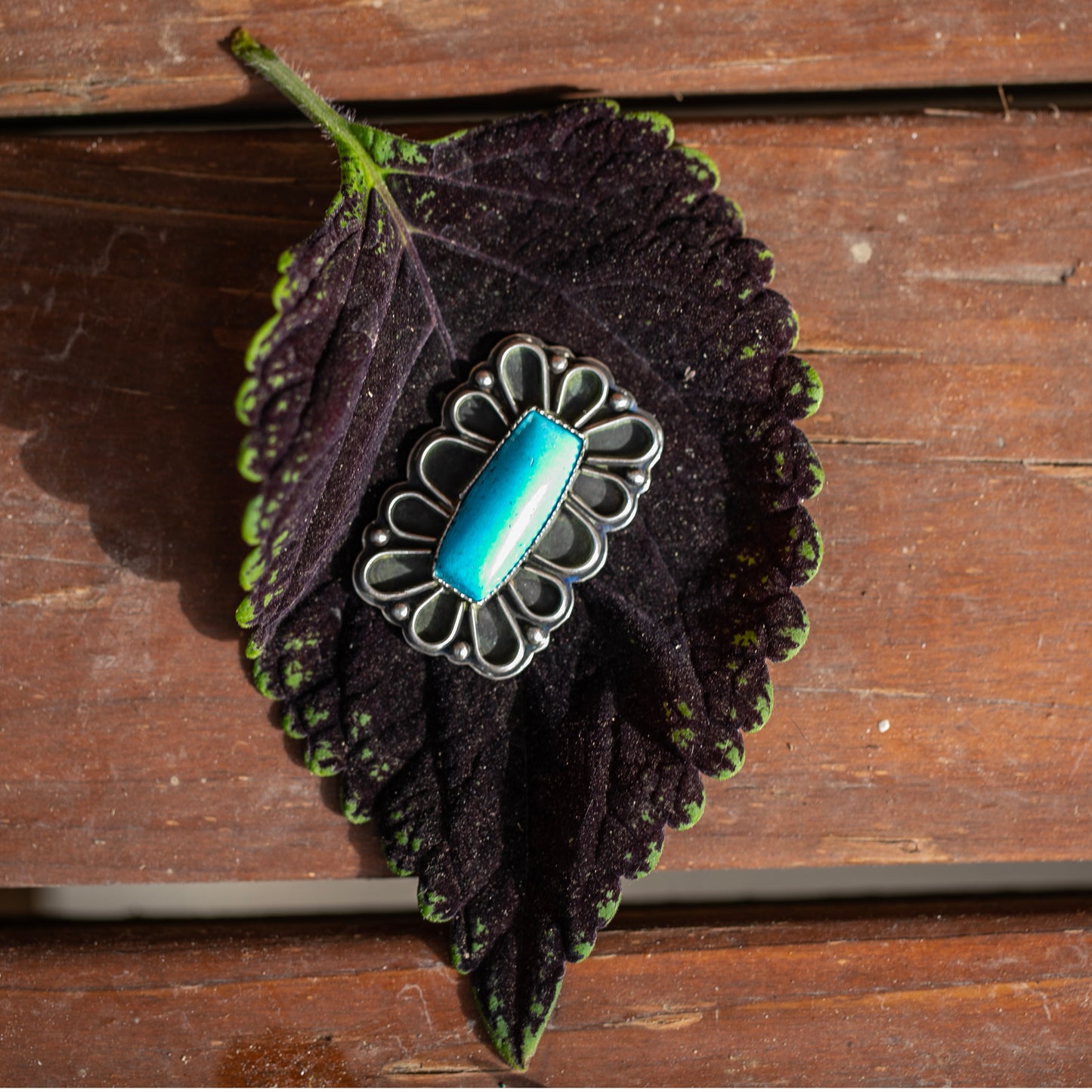 Turquoise Frame